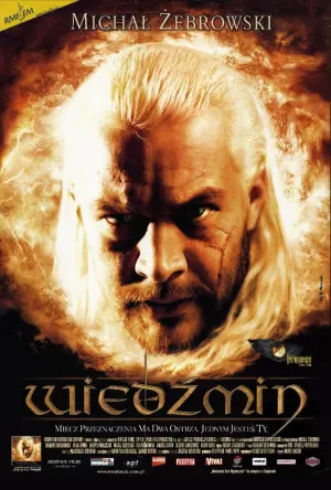 Постер к фильму "Ведьмак" #494908