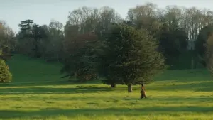 Задник к фильму "Эмма." #244652