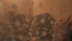 Задник к фильму "" #673466