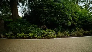 Задник к фильму "Бугония" #511775