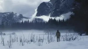 Задник к фильму "Лес призраков: Сатор" #397874