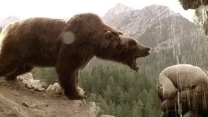 Задник к фильму "Медведь" #246287