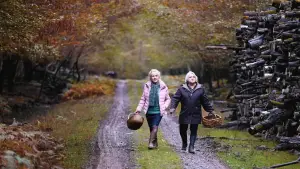 Задник к фильму "Что случилось осенью" #605273