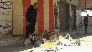 Задник к фильму "" #682196