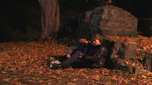 Задник к фильму "Я убил свою маму" #211038