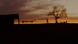 Задник к фильму "Непрощённый" #657923