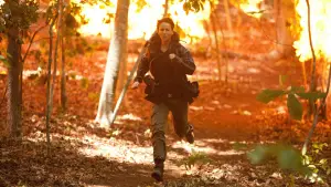 Задник к фильму "Голодные игры" #603082