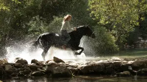 Задник к фильму "Восточный ветер 3: Наследие Оры" #423735