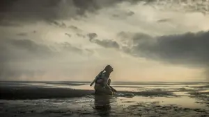 Задник к фильму "Чужая Земля" #334613