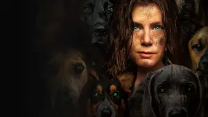 Задник к фильму "Ночная сучка" #643599