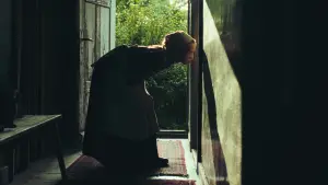 Задник к фильму "Звук падения" #523968