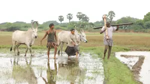 Задник к фильму "பைசன் காளமாடன்" #786354