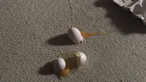 Задник к фильму "Забавные игры" #224065