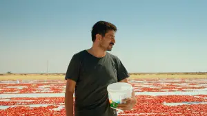 Задник к фильму "" #737162