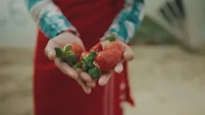 Задник к фильму "" #458641