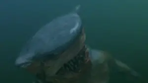 Задник к фильму "Человек-акула" #678044