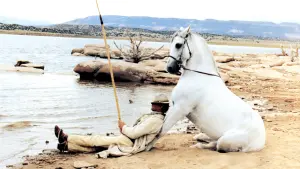 Задник к фильму "Счастливчик Люк" #395072