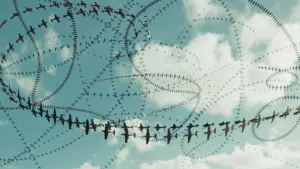 Задник к фильму "Вопреки всему" #699516