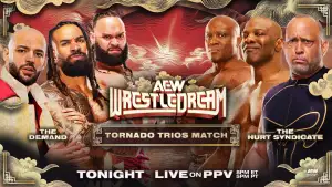 Задник к фильму "AEW WrestleDream 2025" #868178