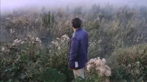 Задник к фильму "Солярис" #731596