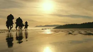 Задник к фильму "Планета обезьян: Война" #585961