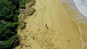 Задник к фильму "" #488616