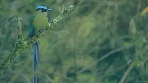 Задник к фильму "" #427237