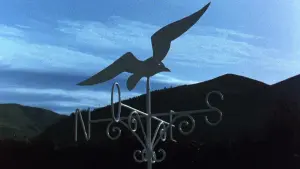 Задник к фильму "Юг" #478521