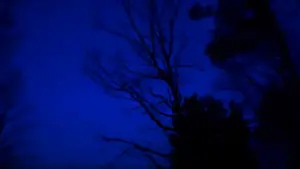 Задник к фильму "" #449026