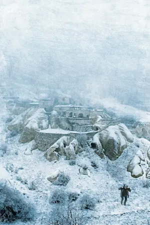 Постер к фильму "Зимняя спячка" #206027