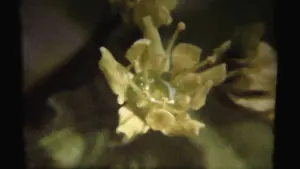 Задник к фильму "" #470065