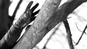 Задник к фильму "" #506669