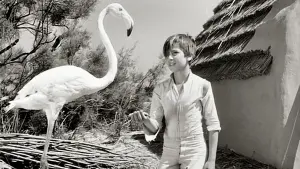 Задник к фильму "Белая грива: Дикая лошадь" #456582