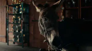 Задник к фильму "Иа" #195293