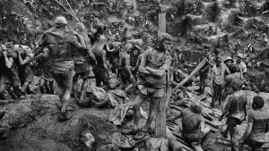 Задник к фильму "Соль земли" #440613