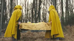 Задник к фильму "Таинственный лес" #728845