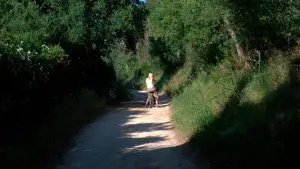 Задник к фильму "" #475861