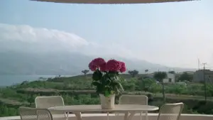 Задник к фильму "Ангел смерти" #735899