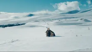 Задник к фильму "Три орешка для Золушки" #329176