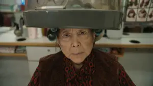 Задник к фильму "Телохранитель бабушки" #498820