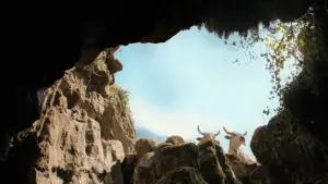 Задник к фильму "Дыра" #197107