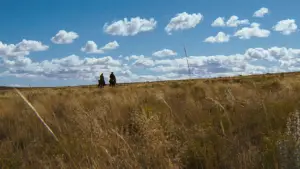 Задник к фильму "Джоси Уэйлс — человек вне закона" #670929