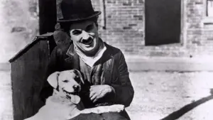 Задник к фильму "Собачья жизнь" #223310