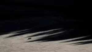 Задник к фильму "" #534628