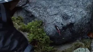 Задник к фильму "Голодные игры" #603241