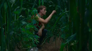 Задник к фильму "Земля Алькаррас" #383953