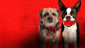 Задник к фильму "Отвязные дворняги" #473837