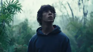 Задник к фильму "Королевство зверей" #194712