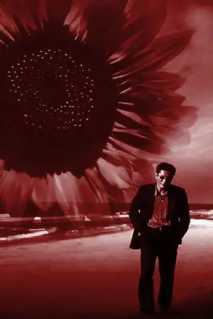 Постер к фильму "Фейерверк" #711009