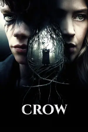 Постер к фильму "Crow"